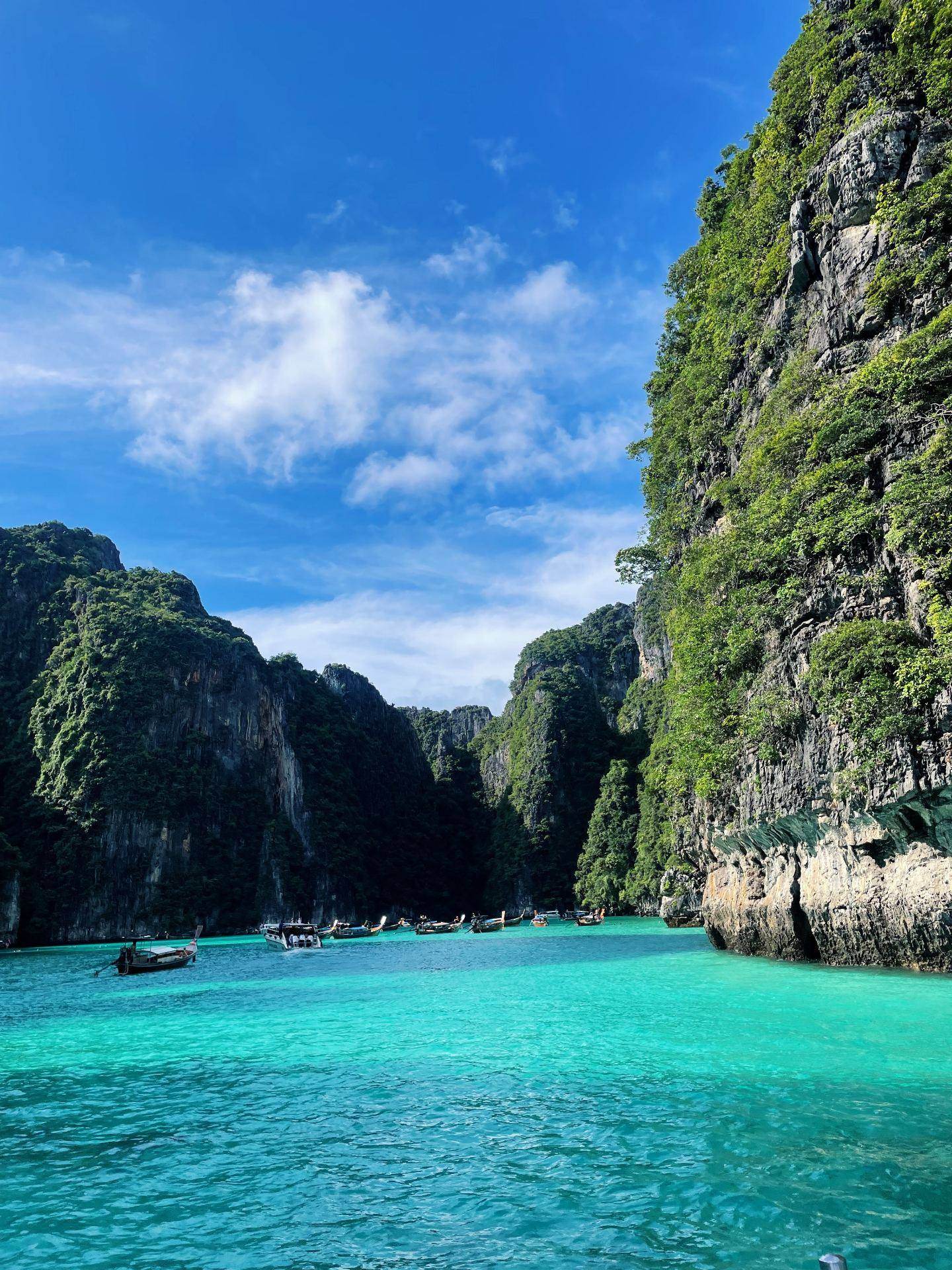 Sixteen Metres Down: Learning to Freedive in Koh Tao